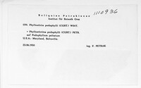 Image Associated With the Occurence